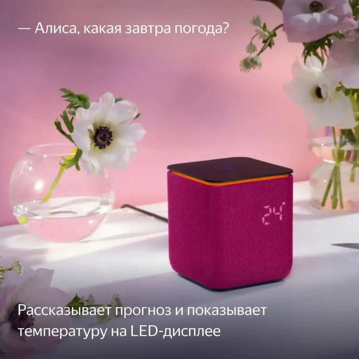 Умный динамик, Яндекс Станция Миди, модель YNDX-00054 (малиновый)