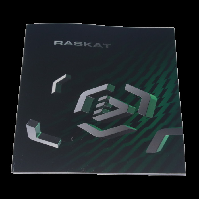 Источник бесперебойного питания  ИБП Raskat HS-1200VA 1200VA, 7200Вт, 4хCEE 7