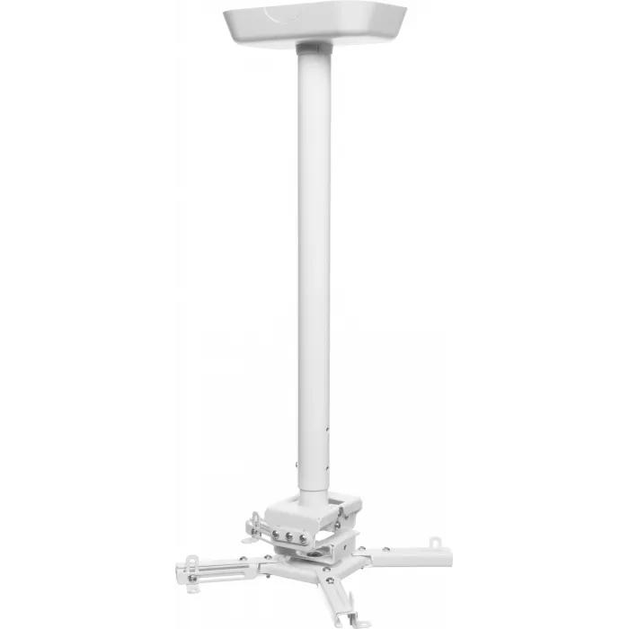 Кронштейн для проектора Cactus CS-PROF031L-WT белый макс.35кг потолочный поворот и наклон