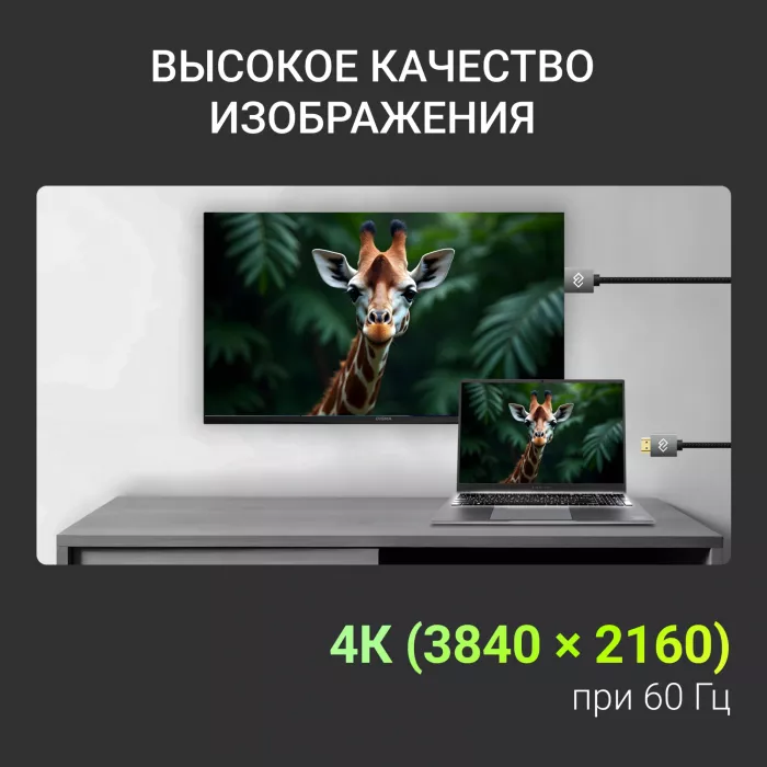 Кабель аудио-видео Digma HDMI (m)/HDMI (m) 2м. феррит.кольца позолоч.конт. черный (D-HDMI-2FF-V2.0-2M)