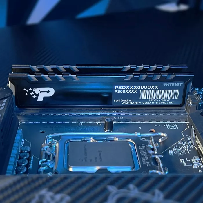 Память DDR5 16GB 5200MHz Patriot PSP516G520081H1 Signature Premium RTL PC5-41600 CL42 DIMM UDIMM 288-pin 1.1В single rank с радиатором Ret