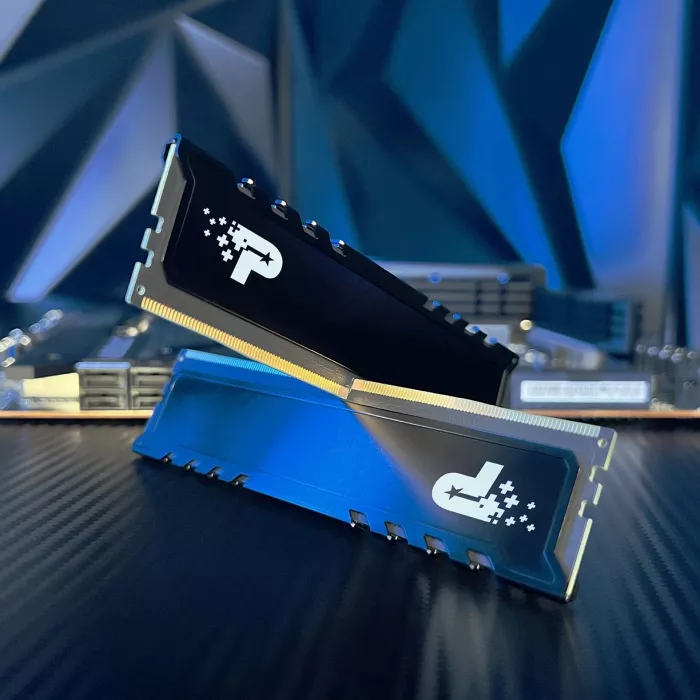 Память DDR5 16GB 5200MHz Patriot PSP516G520081H1 Signature Premium RTL PC5-41600 CL42 DIMM UDIMM 288-pin 1.1В single rank с радиатором Ret