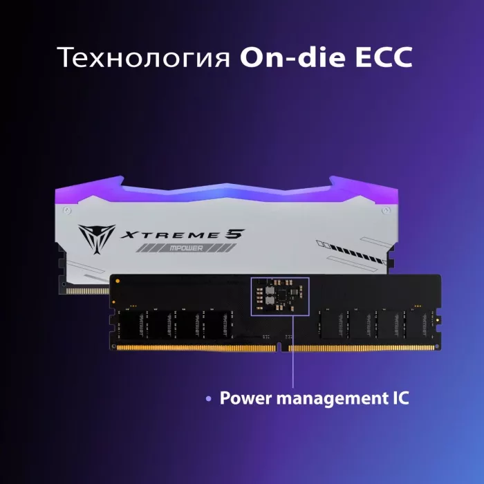 Память DDR5 2x24GB 6000MHz Patriot PVXR548G60C30KM Viper Xtreme 5 RGB RTL Gaming PC5-48000 CL30 DIMM UDIMM 288-pin 1.35В с радиатором Ret