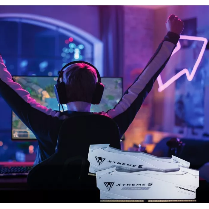 Память DDR5 2x24GB 6000MHz Patriot PVXR548G60C30KM Viper Xtreme 5 RGB RTL Gaming PC5-48000 CL30 DIMM UDIMM 288-pin 1.35В с радиатором Ret