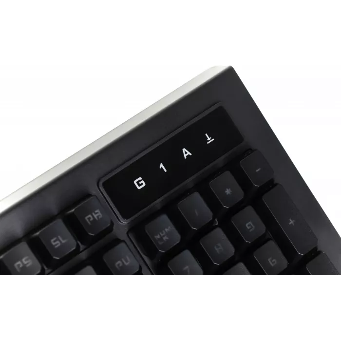 Клавиатура A4Tech B120N черный USB Multimedia for gamer LED (подставка для запястий) кабель 1.8м