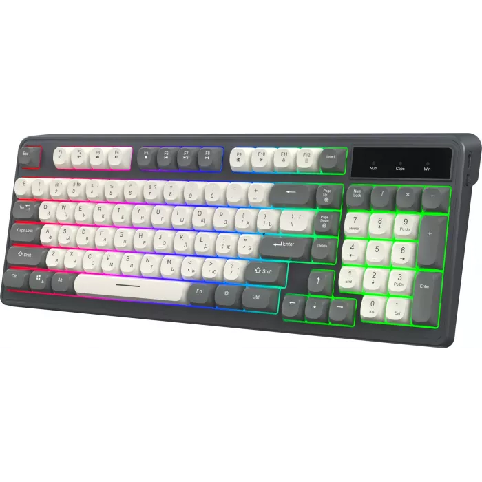 Клавиатура Оклик 731G серый/белый USB Multimedia for gamer LED кабель 1.5м