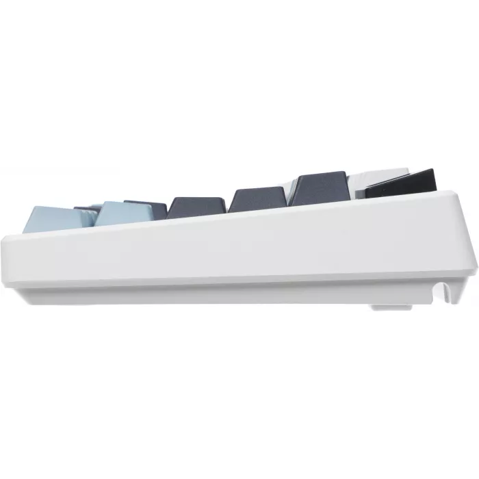 Клавиатура MSI GK600 механическая белый/синий USB беспроводная BT/Radio Multimedia for gamer LED (S11-43RUP01-HH9) кабель 1.8м