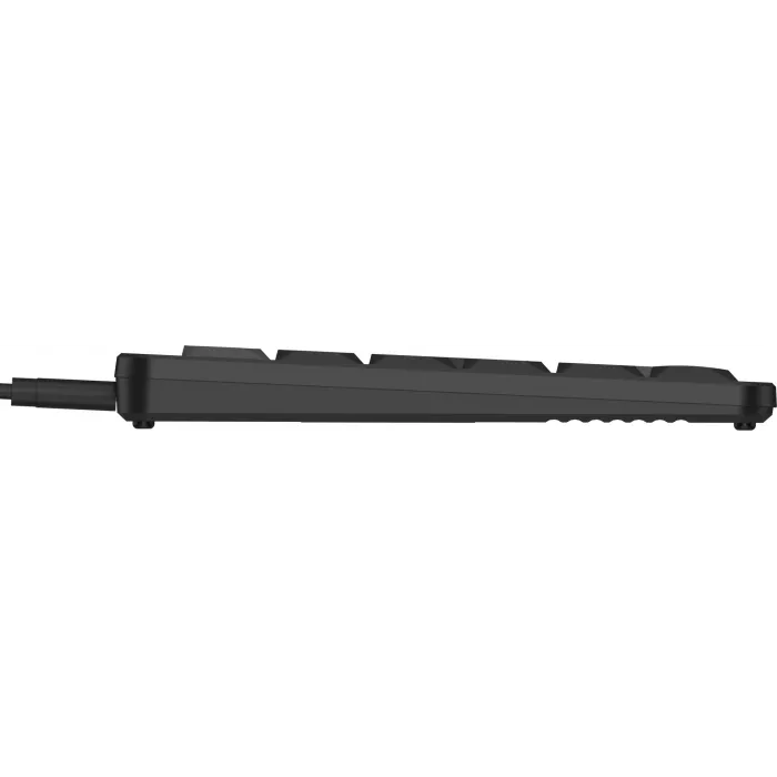 Клавиатура A4Tech FX55 черный USB slim Multimedia кабель 1.5м