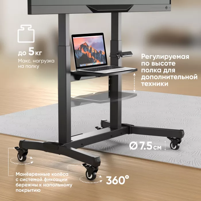 Стойка для телевизора Onkron TS1991 eLift черный 50"-100" макс.130кг напольный наклон (моторизованный лифт)