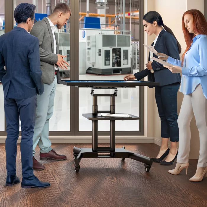 Стойка для телевизора Onkron TS1350 черный 32"-70" макс.45кг напольный мобильный
