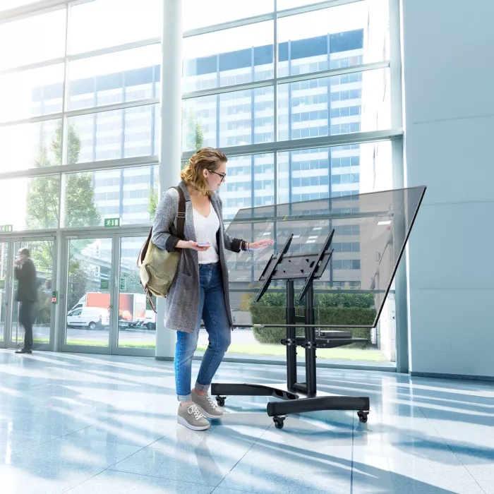 Стойка для телевизора Onkron TS1350 черный 32"-70" макс.45кг напольный мобильный