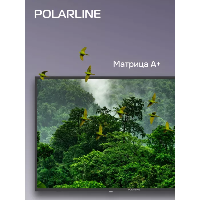Телевизор LED PolarLine 43" 43PL51STC-SM черный FULL HD 60Hz DVB-T DVB-T2 DVB-C DVB-S2 USB WiFi Smart TV (RUS)