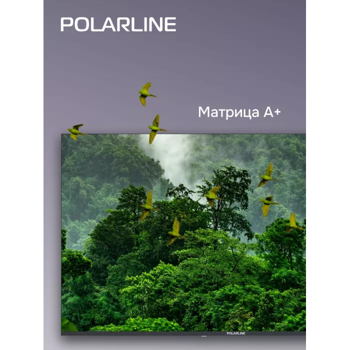 Телевизор LED PolarLine 50" 50PU11TC-SM черный 4K Ultra HD 60Hz DVB-T DVB-T2 DVB-C DVB-S2 USB WiFi Smart TV (RUS)