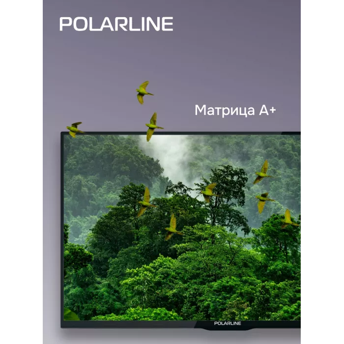 Телевизор LED PolarLine 32" 32PL14TC-SM черный HD 60Hz DVB-T DVB-T2 DVB-C USB WiFi Smart TV (RUS)