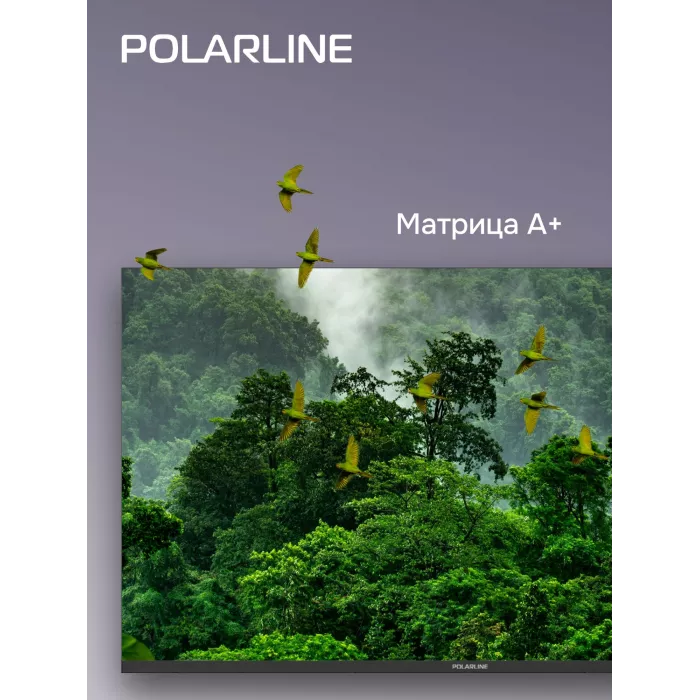 Телевизор LED PolarLine 43" 43PU11TC-SM черный 4K Ultra HD 60Hz DVB-T DVB-T2 DVB-C DVB-S DVB-S2 USB WiFi Smart TV (RUS)