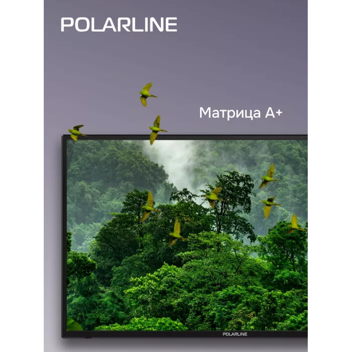 Телевизор LED PolarLine 32" 32PL55TC-SM черный/серебристый HD 60Hz DVB-T DVB-T2 DVB-C USB WiFi Smart TV (RUS)